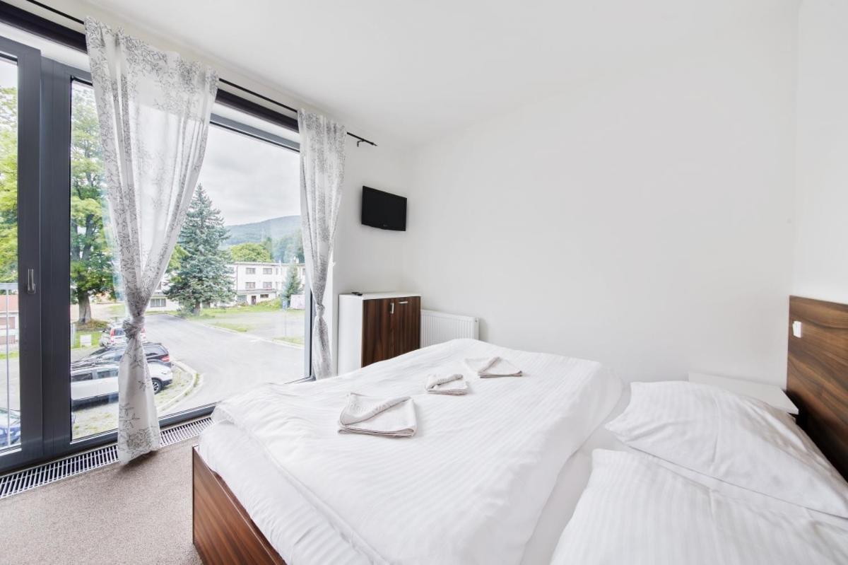 Loučná nad Desnou Luxusni Horsky Apartman Primo U Sjezdovky Kouty מראה חיצוני תמונה